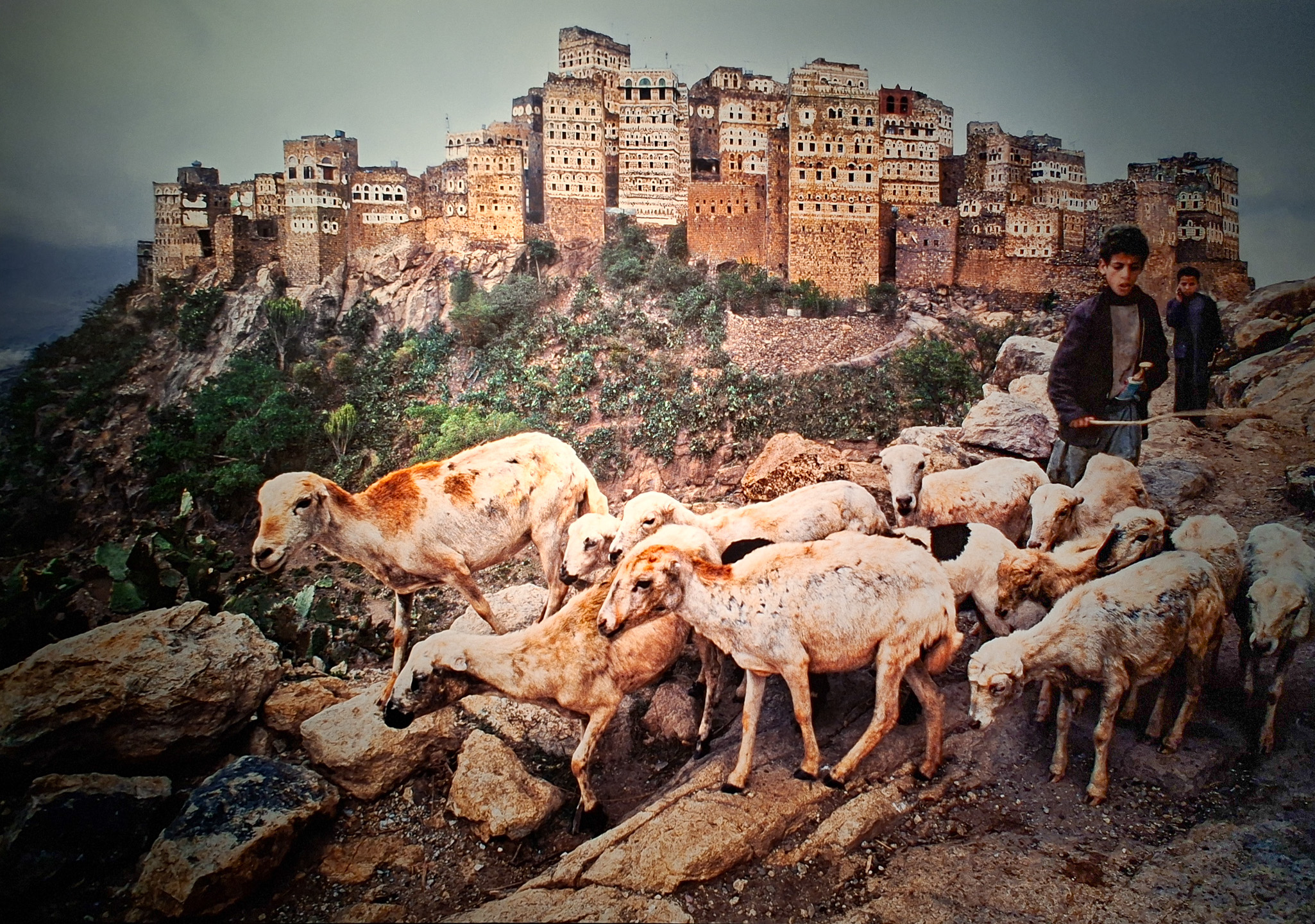 Móvil 20260613 Steve McCurry 98